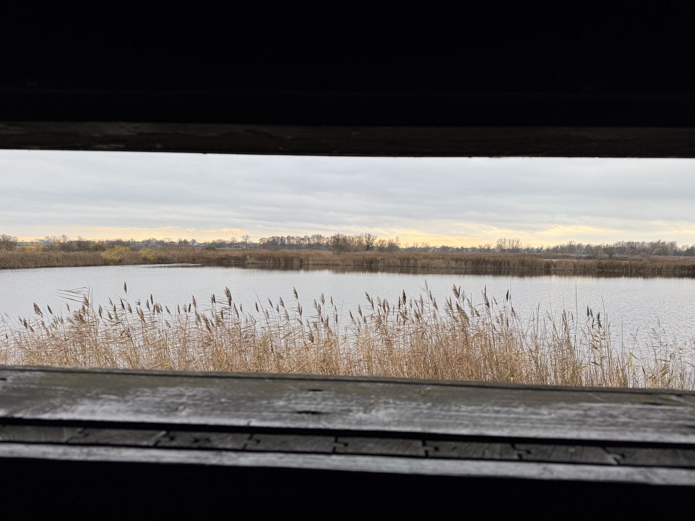 Linum Retreat