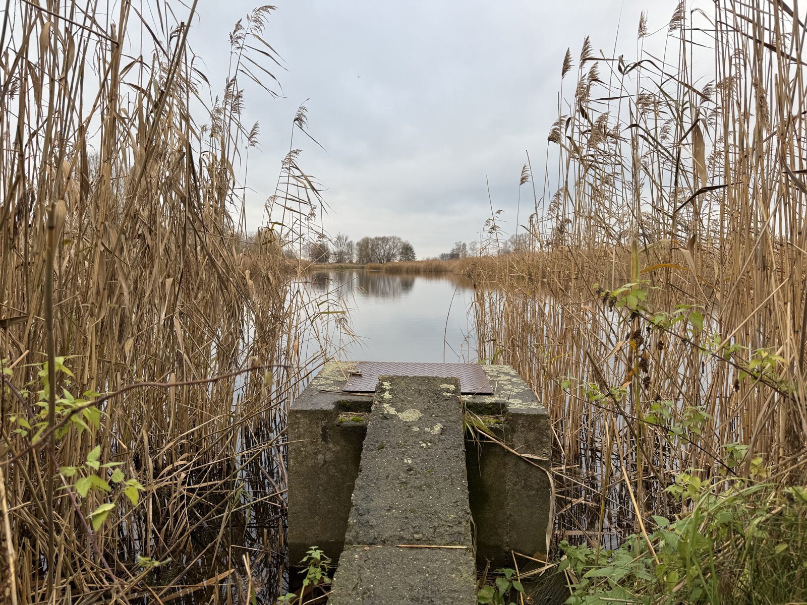 Zugang am Gutshof Linum