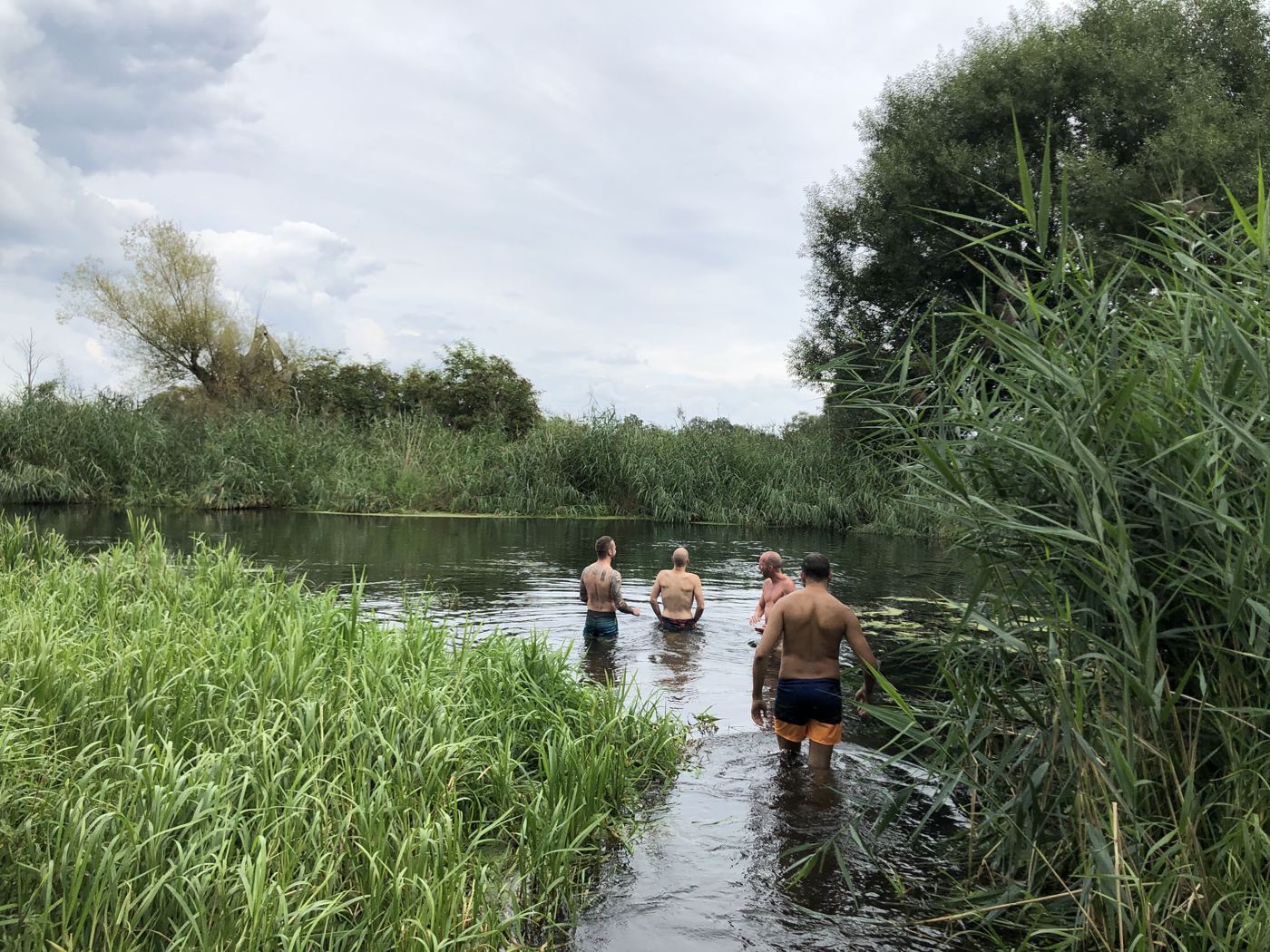 Fluss und Schilf